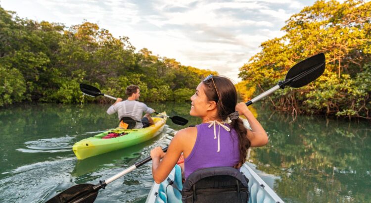 kayaks