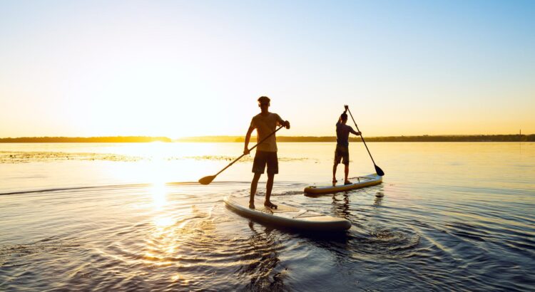 paddle
